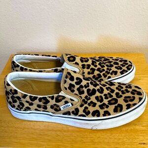 Cheetah vans